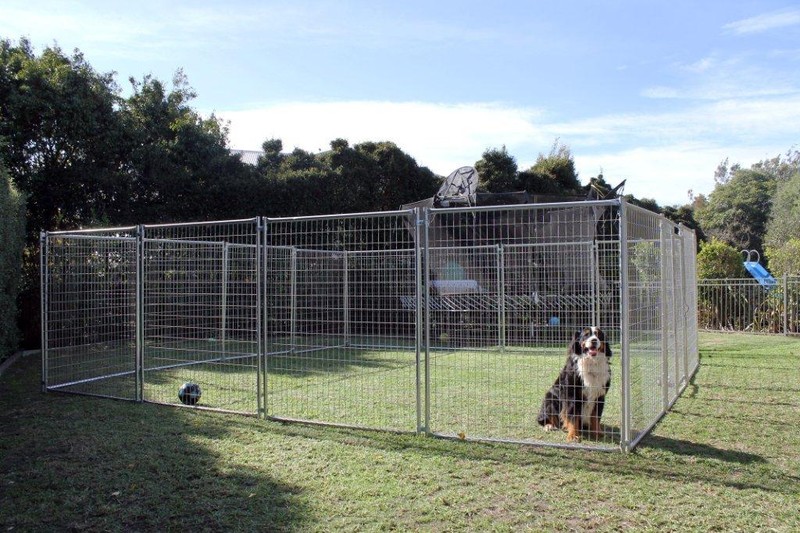 Large dog clearance enclosures