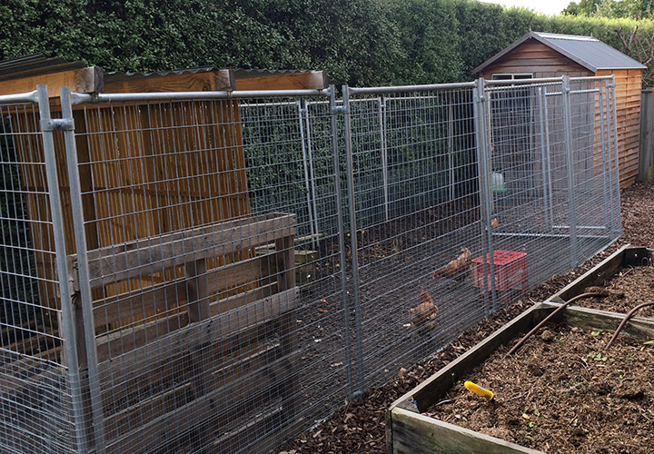 View Our Chicken Runs &amp; Kennels | Spot On Pet Enclosures